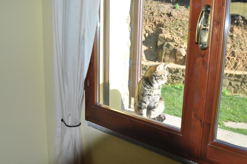 Agriturismo Il Cerrosughero Villa Скарлино Стая снимка