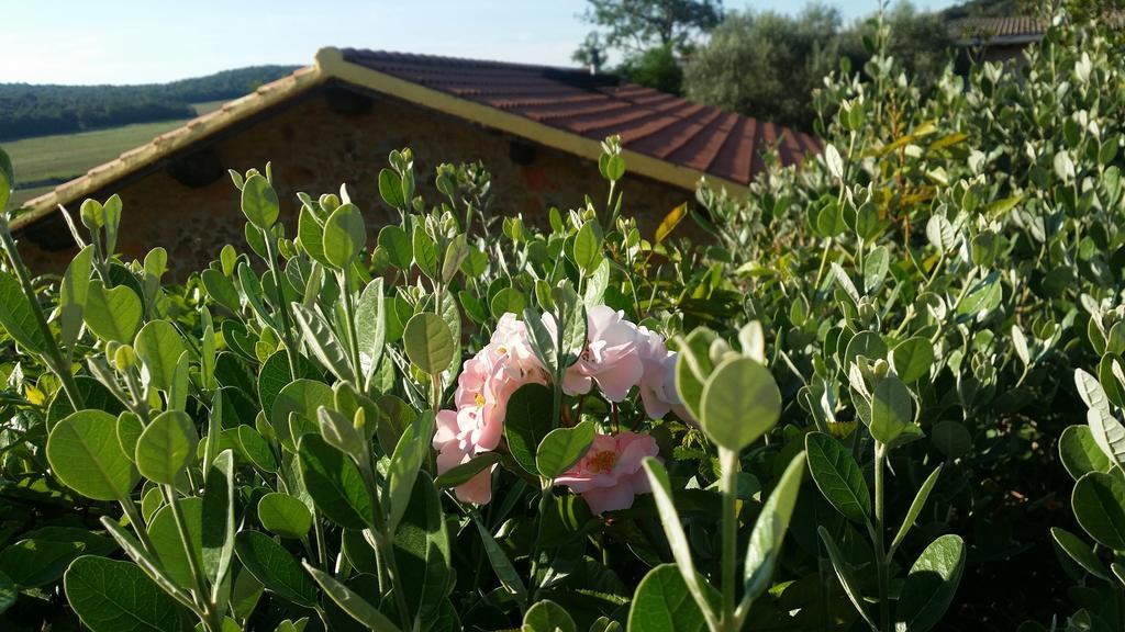 Agriturismo Il Cerrosughero Villa Скарлино Екстериор снимка